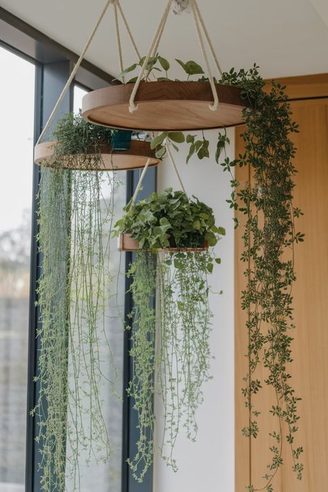 Turn your living space into a serene retreat with a suspended plant setup. Rope-hung trays filled with cascading vines and compact pots offer a natural touch, ideal for enhancing windows or empty corners. #HangingGreenOasis #IndoorPlantDisplay #VerticalGarden #NaturalHomeDecor #PlantStylingIdeas #RopeHangerDecor #HangingPlants #CompactGreenery #WindowPlantSetup #EcoChicDesign Displaying Hanging Plants, Hanging Plant Ceiling Grid, Hanging Corner Plants, Unique Houseplant Display, Kitchen With Hanging Plants, Unique Indoor Plant Displays, Greenery Decor Home, Plant Shelf Ideas Living Room, Hanging Plants In Front Of Window