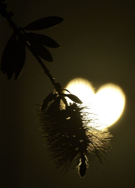 Glowing heart sky Heart In Nature, Burning Love, I Love Heart, Heart Images, Beating Heart, Solar Eclipse, With All My Heart, Felt Hearts, Beautiful Heart