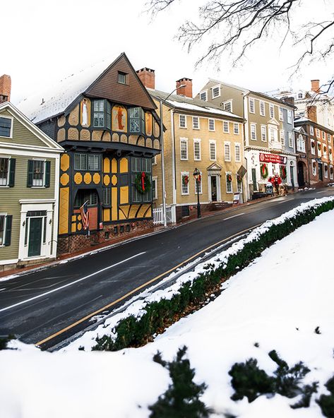 As a native Rhode Islander, calling Providence ‘home’ my entire life means that this time of year, I fin Rhode Island Winter, Sarah Patrick, Island Christmas, American Girl Store, Museum Of Ice Cream, Sarah Vickers, Classy Girls Wear Pearls, Kiel James Patrick, Island Homes