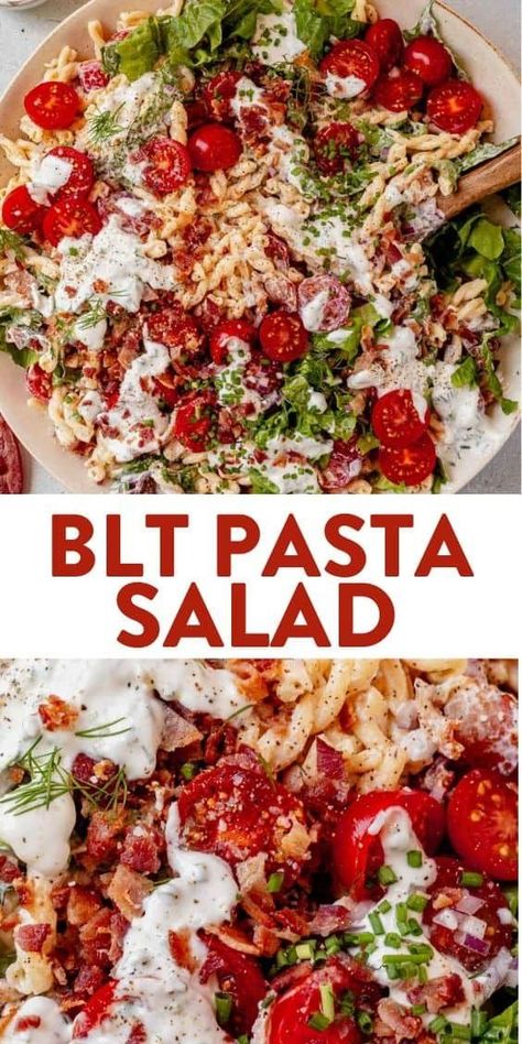 Bacon, lettuce, and tomato are a few of the delicious ingredients in this easy BLT pasta salad. It’s almost no-cook and comes together in minutes. You get all of the creamy, tomato, crunchy bacon flavors as the BLT sandwich, but in pasta salad form. Make this delicious side dish for summer BBQs, potlucks, or picnics! Creamy Pasta Salad Recipe, Salads Green, Blt Pasta Salad, Creamy Pasta Salads, Resep Pasta, Blt Pasta, Blt Pasta Salads, Pasta Salad Dressing, Grilled Bbq Chicken