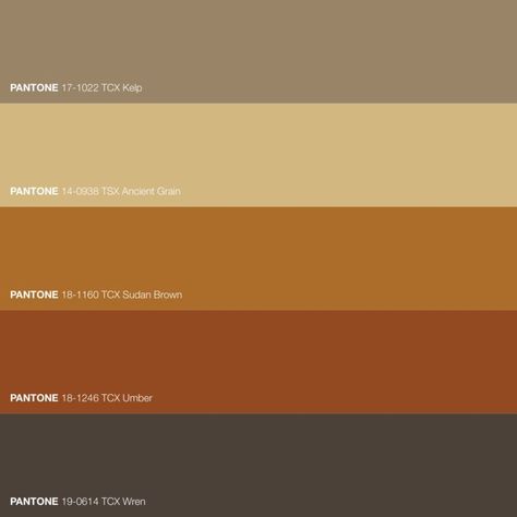 Rich Brown Saturated Color Palette • Download Free Adobe Illustrator Palette in .ase • #forecast #colorscheme #pantonecolors #trendforecasting #trendforecast #pantonecolor #fashionforecast #fashionforecaster #colortrends #colourschemes #patterncollection #colorpalettes #colorschemes #colourtrends #colourpallette #colortheory #colorwheel #colorinspiration #colourscheme #colorpalette #colourpalette #deepbrown #autumnbrown #browncolor Color Palette Pantone, Saturated Color Palette, Free Adobe Illustrator, Hazel Color, Html Color Codes, Pantone Colour Palettes, Brown Color Palette, Palette Art, Summer Color Palette