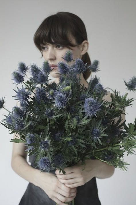 Sea Holly Bouquet, Holly Bouquet, Thistle Bouquet, Sea Holly, Prop Stylist, Flower Display, Ravenclaw, Floral Botanical, Growing Plants