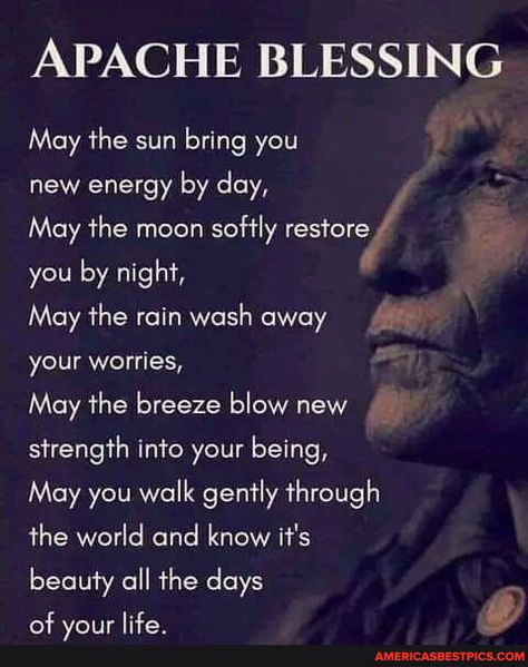 Native American Quotes Wisdom, Native American Proverbs, Native Quotes, American Indian Quotes, American Proverbs, Native American Prayers, Native American Spirituality, Indian Quotes, Native American Wisdom