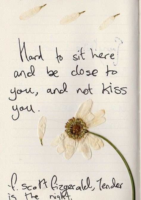 "Hard to sit here and be close to you, and not kiss you." - F. Scott Fizgerald, Tender is the Night Body Flowers, Tender Is The Night, Fitzgerald Quotes, F Scott Fitzgerald, The Ritz, Writing Poetry, Uh Oh, Old Love, Books Quotes