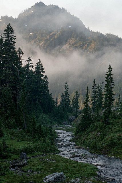 Elk Painting, Draw Nature, Inspiration Collage, Glacier Lake, Misty Morning, Pictures Of Animals, Misty Forest, Pacific Crest Trail, Pretty Landscapes