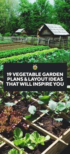 Vegetable Garden Plans, Funny Vine, Taman Air, Vegetable Garden Planner, Garden Layout Vegetable, Vegetable Garden Planning, Organic Vegetable Garden, Garden Planner, Garden Plans