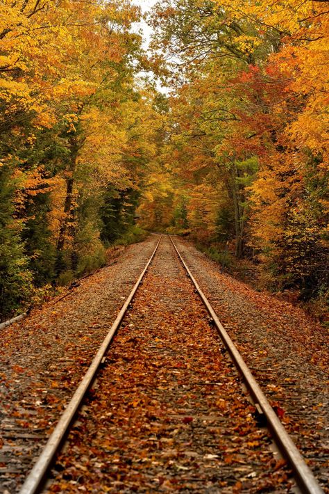 Autumn in New Hampshire - October 19, 2020. | #New_Hampshire_Photography #Fall_Wonderland #Fall_Core #September_Aesthetic Fall Indie Aesthetic, New Hampshire Photography, Fall Core, October Aesthetic, October Vibes, Autumn Pictures, Ber Months, Fall Wallpapers, Autumn Magic