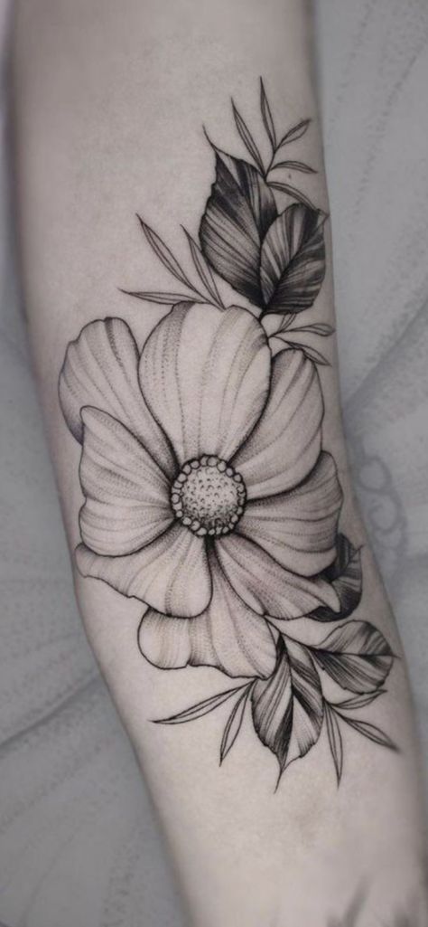 Cosmo Floral Tattoo, Chocolate Cosmos Tattoo, Cosmo Flower Tattoo Black And White, Chocolate Cosmos Flower Tattoo, Cosmo Flower Tattoos, Cosmo Birth Flower Tattoo, Anenome Flower Tattoos, Cosmos Tattoo Design, Primrose Tattoo Design