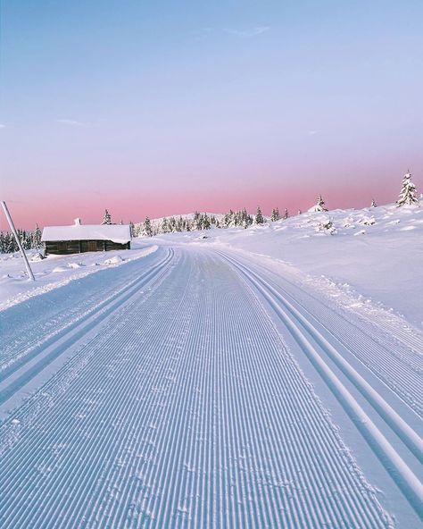 Ski Trip Aesthetic, Skiing Aesthetic, Ski Aesthetic, Nordic Skiing, Snow Trip, Winter Inspo, I Love Winter, Ski Season, Winter Photos