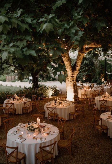 Backyard Woodsy Wedding, Pretty Wedding Themes, Outdoor Small Wedding Ideas, Dreamy Backyard Wedding, Vintage Wedding Venues Rustic, Country Side Weddings, Small Garden Wedding Reception, Dreamy Wedding Aesthetic, Small Wedding Ideas On A Budget Simple