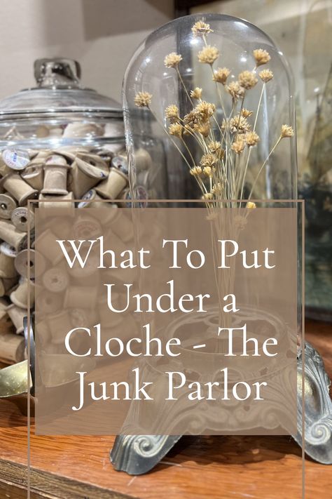 Do you ever wonder what to put under a cloche? If so, then this is the perfect place to find out! With their unique selection of vintage treasures and eclectic finds, you are sure to find inspiration for what to put under your cloche. Ideas For Cloche, Cloche Styling Glass Domes, Chicken Wire Cloche Decor, Glass Bell Jar Decor, Vintage Cloche Decor, Metal Cloche Decor, Farmhouse Cloche Ideas, Cloche Bell Jar Ideas, Vintage Vignettes Farmhouse