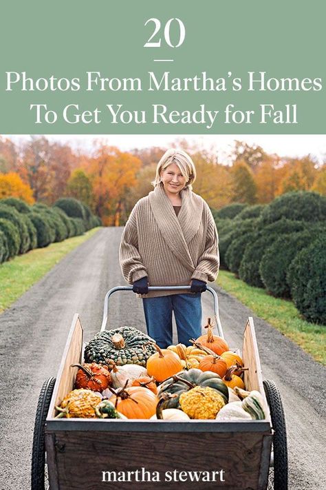 To help you welcome the arrival of fall, we're turning to Martha for all of our autumnal inspiration and will inspire you to add these fall ideas to your autumn to-do list. #marthastewart #fall #fallleaves #autumn Martha Stewart Fall, Outdoor Fall Decor Ideas, Harvest Decor, Thanksgiving Inspiration, Fun Fall Activities, Fall Arrangements, Home Decor Ideas Living Room, Fall Table Decor, Fall Outdoor Decor