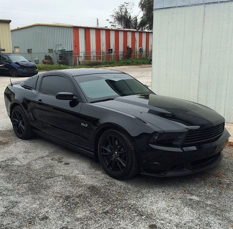 2011 Mustang GT. blacked out beauty. All Black Mustang Gt, 05-09 Mustang Gt, All Black Mustang, Blacked Out Mustang, Black Mustang Car, Ford Mustang Gt Black, 2014 Mustang Gt, Mustang Gt Black, Black Ford Mustang