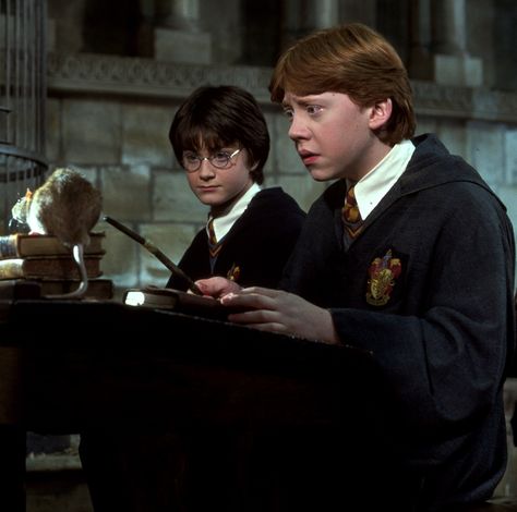 Harry And Ron, Ron And Harry, Harry Potter Background, The Chamber Of Secrets, The Golden Trio, Harry Potter Ron, Harry Potter And The Chamber Of Secrets, Harry Potter Images, Images Harry Potter