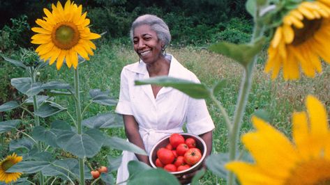 Study In The Library, Future Self Aesthetic, Terrace Inspiration, Edna Lewis, Welcome To The Library, John Hill, Self Aesthetic, Easy Crepe Recipe, Gullah Geechee