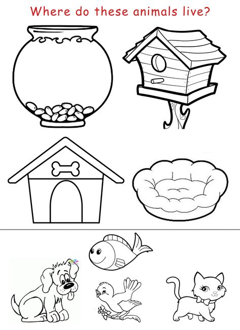 Copy a sheet for each student and tell them to color and cut the animalsand stick them on their proper housesesl worksheet kindergarten Animals House Worksheet, Animals And Habitats Preschool, Pets And Their Homes Matching Activity, Worksheet On Animals For Kindergarten, Needs Of Animals Worksheet, Home Pet Ideas, Habitats Preschool Activities, My House Kindergarten Activities, Animal Houses Preschool Craft