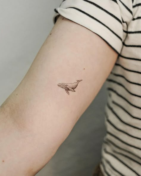 small shark tattoos • Instagram Mini Whale Tattoo, Shark Whale Tattoo, Fine Line Whale Tattoo, Small Orca Tattoo, Small Whale Tattoo, Hammerhead Tattoo, Small Shark Tattoo, Whale Shark Tattoo, Tattoo 2024