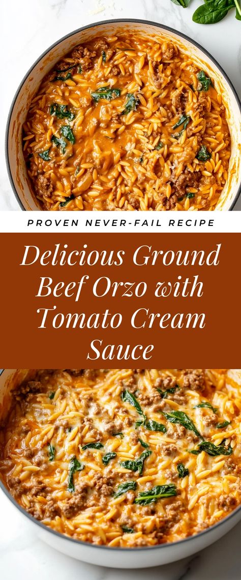 Image for Delicious Ground Beef Orzo with Tomato Cream Sauce Tomato Beef Orzo, Ground Beef Meal Ideas Healthy, Easy Dinner For Winter, Quick Easy Weekday Dinners, Easy Dinner Ideas Using Ground Beef, Creamy Beef Orzo, Impossible Meat Dinner Recipes, Dinners With Orzo, Easy Dinner Recipes For Two Beef