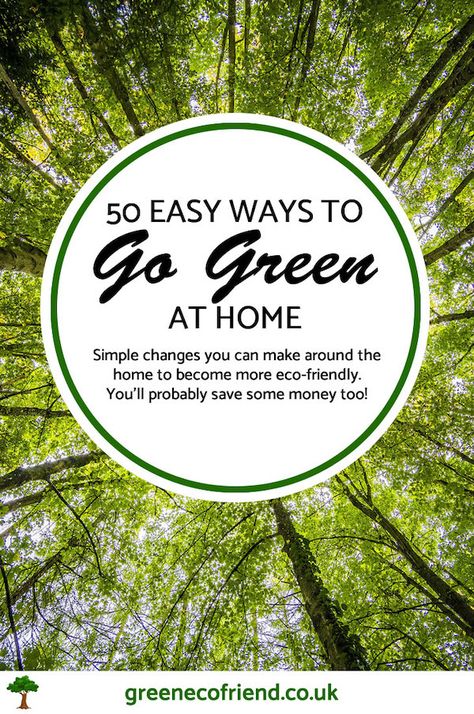 If you're trying to be more eco-friendly, here are some simple changes you can make around the home. Ways To Be Sustainable, Ways To Be More Sustainable, Best Eco Friendly Cleaning Products, How To Be More Eco Friendly Tips, Eco-friendly Everyday Bag Recyclable, Eco Friendly Bedroom, Making A Compost Bin, Ways To Save Water, Eco Friendly Building