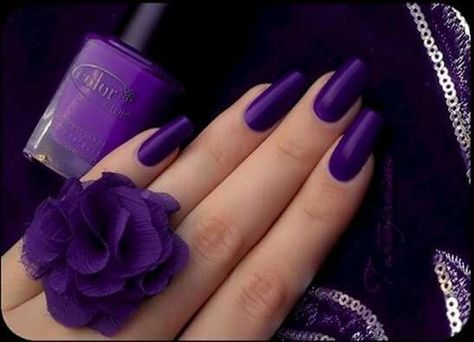 Matte Purple Nails, Top Lila, Purple Nail Art Designs, Purple Manicure, Purple Nail Art, Purple Acrylic Nails, Purple Nail Polish, Purple Nail Designs, Purple Acrylic