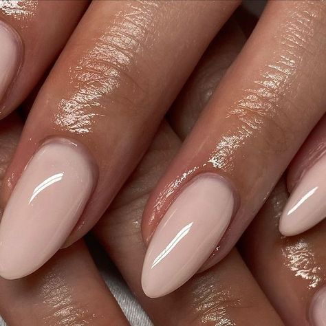 Neutral Oval Nails Classy, Basic Biab Nails, Biab Natural Nails, Nude Biab Nails, Natural Biab Nails, Dreamer Biab, Almond Biab Nails, Biogel Nails, Milky Nude Nails