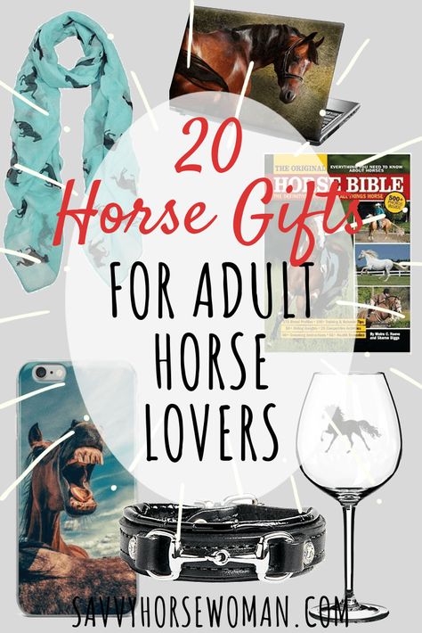 Barn Organization, Horse Gift Ideas, Barn Hacks, Christmas Barn, Horse Movies, Horse Lover Gifts, Horse Care Tips, Horse Back Riding, Diy Horse