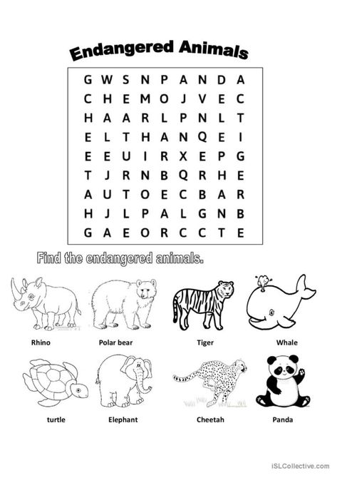 Endangered Animals Activities, Endangered Species Activities, Teaching Adjectives, Senior Infants, Animals Worksheet, Word Puzzles For Kids, Animal Worksheets, Class Activity, Animal Conservation