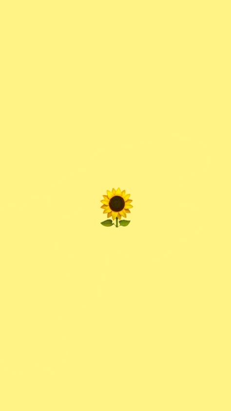 Sunflower Wallpaper, Sunflower, Yellow, Flowers, Instagram