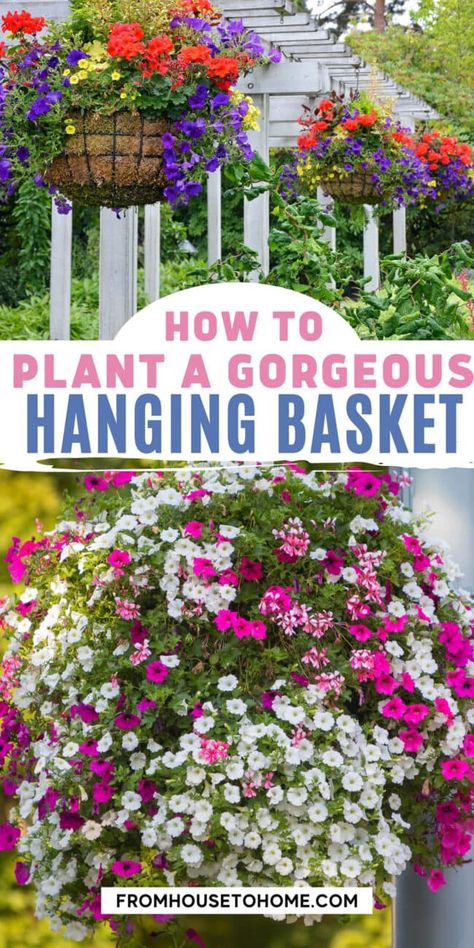 Looking for ideas on how to plant a hanging basket? We've got you covered! Use this simple step by step guide on planting your own hanging baskets that will look gorgeous for the whole growing season. Hanging Baskets Diy, Hanging Basket Garden, Ivy Geraniums, Full Sun Flowers, Hanging Plants Outdoor, Trailing Flowers, Full Sun Plants, Hanging Flower Baskets, Flower Baskets