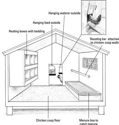 Garden Chicken Coop, Reban Ayam, Chicken Flock, Cute Chicken Coops, Easy Chicken Coop, Chicken Shed, Chicken Coop Garden, Duck Coop, Backyard Chicken Coop