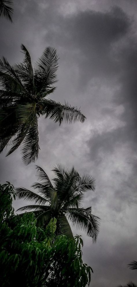 Monsoon Sky Aesthetic, Rain Sky Pictures, Rain Nature Photography, Monsoon Aesthetic Wallpaper, Aesthetic Rain Pics, Cloudy Sky Snap, Rain Sky Aesthetic, Rainy Sky Aesthetic, Rain Photography Aesthetic