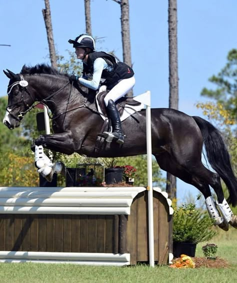 Eventing Cross Country, Cross Country Course, Cross Country Jumps, Jumping Horses, Field Boots, Show Jumping Horses, Mountain Horse, Eventing Horses, Horse Aesthetic