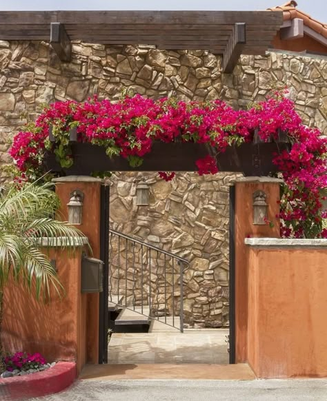 Bougainvillea Trellis, Monrovia Plants, House Gate Design, House Plants Decor, Village House Design, Outdoor Decor Backyard, Garden Landscape Design, Bougainvillea, Fence Design