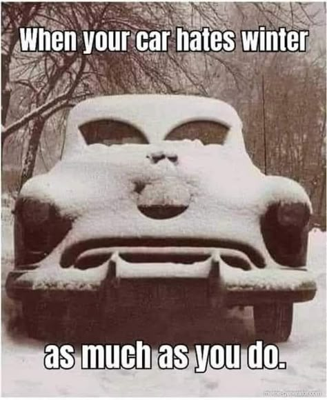 Winter Memes Humor, Winter Memes Funny, New Years Jokes Humor, Snow Humor Hilarious, Winter Humor Hilarious, Funny Snow Quotes, Cold Outside Humor, Funny New Year Quotes Humor, Winter Funny Quotes