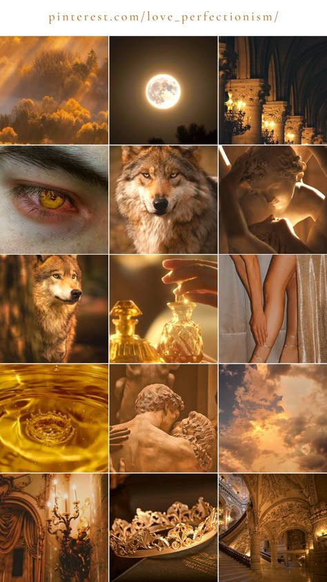 Werewolf Werewolf Room Aesthetic, Wolf Mates Aesthetic, Werewolf Astethic, Gold Wolf Aesthetic, Werewolf Pack House Aesthetic, Girl Werewolf Aesthetic, Werewolf Mate Aesthetic, Werewolf Pack House, Werefox Aesthetic