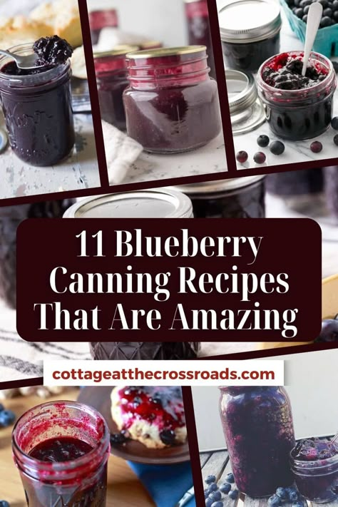 11 blueberry canning recipes that are amazing  pinterest image. Canned Blueberry Jam, Blueberry Canning Ideas, Canning Blueberries Recipes, Blueberry Canning Recipes, Blueberry Jam Canning Recipes, Canned Blueberry Recipes, Blueberry Salsa Recipe Canning, Canning Blueberry Syrup, Blueberry Syrup Recipe Canning