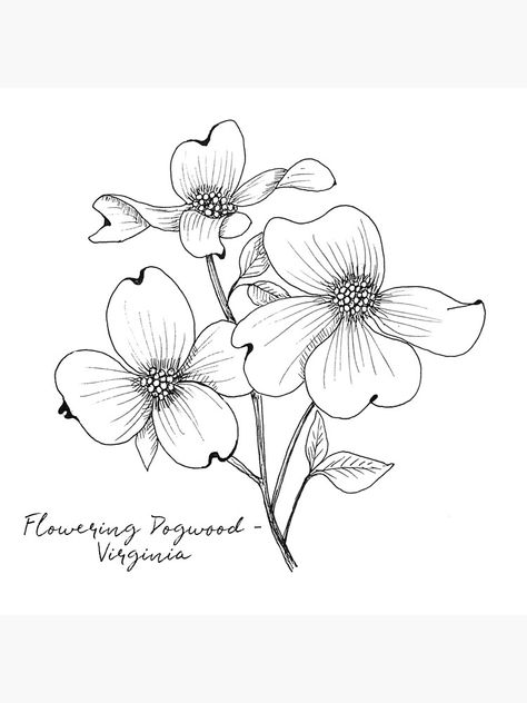 Bday Tattoo Ideas, North Carolina Tattoo, Scared Of Needles, Bday Tattoo, Flower Illustration Art, Dogwood Tattoo, Dogwood Flower Tattoos, Patchwork Tattoos, Couture Embellishment