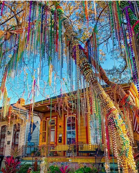 Louisiana Culture, New Orleans Art, New Orleans Mardi Gras, New Orleans Travel, Let The Good Times Roll, Mardi Gras Party, Fantasy Places, Good Times Roll, Best Cities