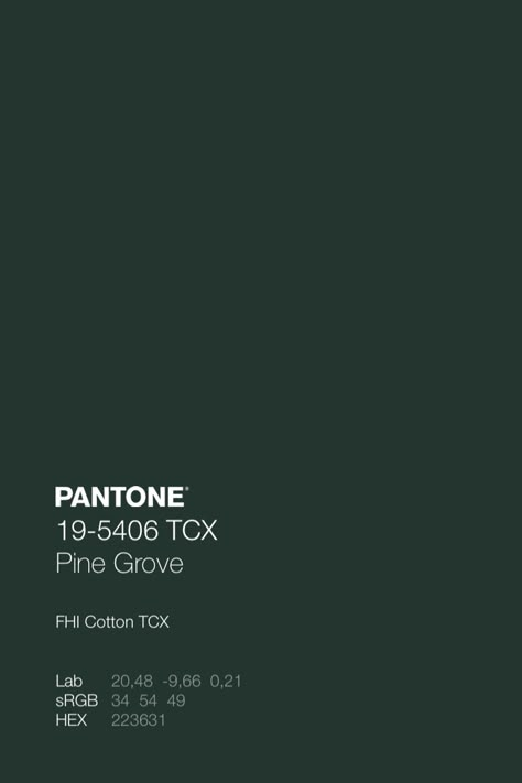 PANTONE 19-5406 TCX Pine Grove • Download Free Adobe Illustrator Palette in .ase • #pantone #pantonegreen #green #pinecolor #autumncolor #autumnaesthetics Green Pallet Color, Free Adobe Illustrator, Pantone Orange, Pantone Green, Pantone Fall, Orange Color Palette, Pantone Color Chart, Pantone Colours, Pantone Palette