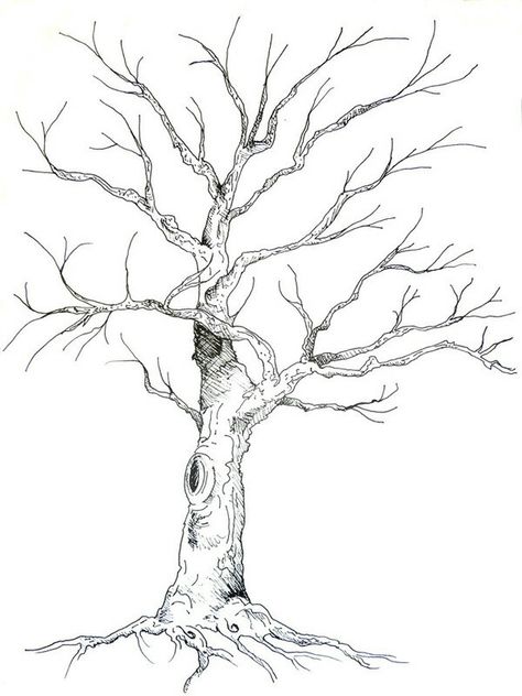 Drawing Of A Tree, Drawing Trees, Tree Drawings, How To Draw Realistic, Guest Book Tree, Draw Realistic, Tree Drawings Pencil, Tree Sketches, Leaf Drawing