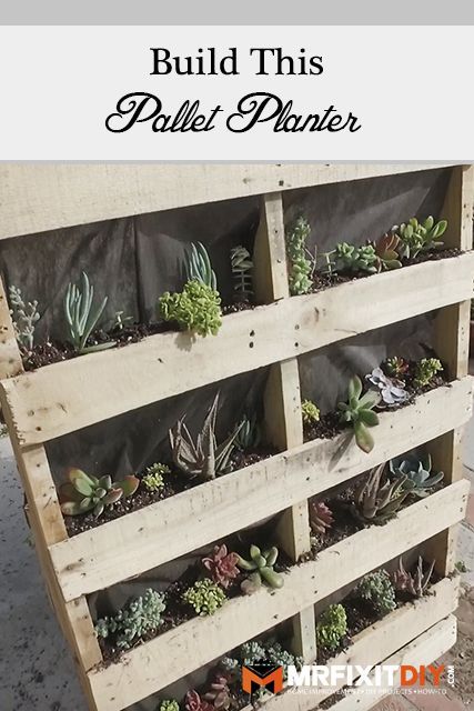 Diy Pallet Garden Ideas, Paver Walkway Diy, Succulent Planter Ideas, Raised Beds Gardening, Diy Pallet Garden, Pallet Herb Garden, Diy Vertical Garden, Pallet Garden Ideas, Succulent Wall Garden