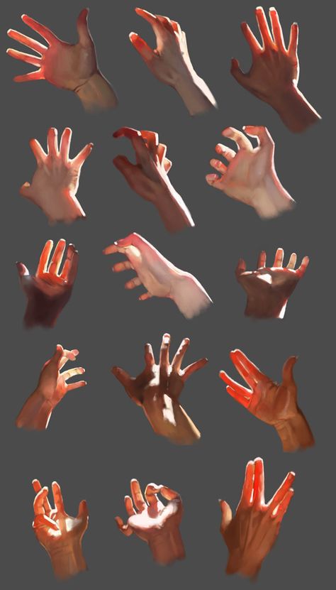 الفن الرقمي, Hand Drawing Reference, Anatomy Drawing, Digital Painting Tutorials, Anatomy Reference, Art And Illustration, Anatomy Art, Drawing Tutorials, Digital Art Tutorial