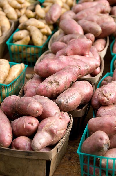 Sweet Potato Slips, Growing Sweet Potatoes, Modern Farmer, Gardening Food, Sistem Pencernaan, Farmers Almanac, Eat Your Vegetables, Old Farmers Almanac, Grow Food