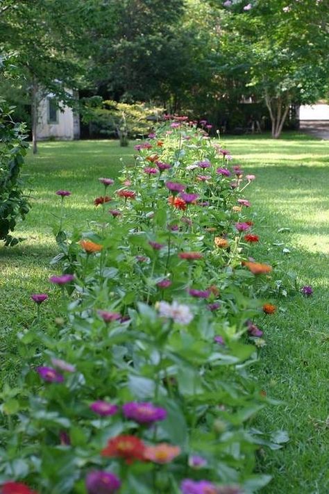 Get This Look: Plant A Wildflower Lawn & Transform Your Yard To A Pollinator Paradise | American Meadows Cut Flower Garden Layout, Flower Garden Layout, Zinnia Garden, American Meadows, Wild Flower Meadow, Garden Idea, Decoration Garden, Cut Flower Garden, Wildflower Garden