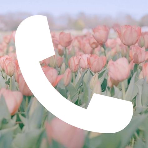 Spring Aesthetic Icons For Apps, Tulips App Icon, Spring Icons Aesthetic, Tulips Icon, Pink Homescreen Aesthetic, Flower Phone Theme, Spring Iphone Theme, Wallpaper For Spring, Spring Phone Theme