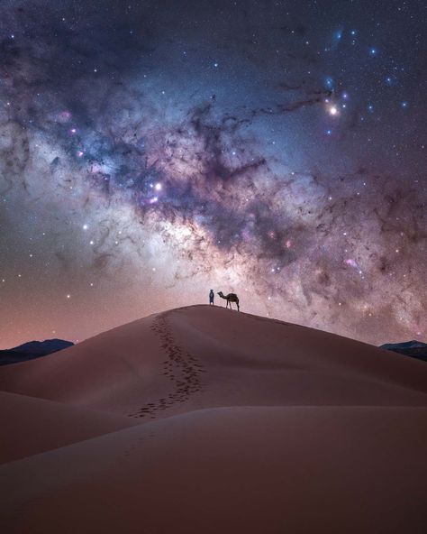 Milky Way Pictures, Milky Way Photos, Milky Way Photography, Best Travel Insurance, Photography Location, Desert Travel, Sky Full Of Stars, Photo Awards, Sky Full