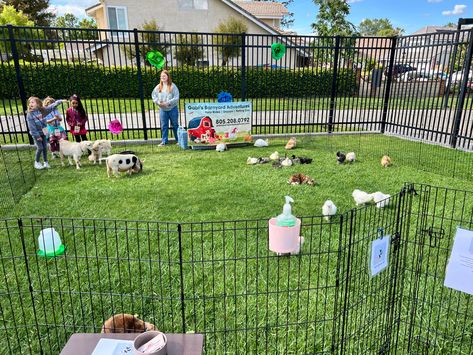 Small Petting Zoo Ideas, Mobile Petting Zoo Business, Mobile Petting Zoo Ideas, Petting Zoo Ideas, Petting Zoo Farm, Mobile Petting Zoo, Zoo Ideas, Farm Themed Party, Old Candy