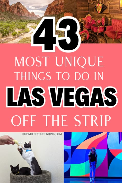 43 Unique Things to Do Off the Strip in Vegas (non-touristy hidden gems) Cheap Things To Do In Las Vegas, Cool Things To Do In Las Vegas, Shopping Las Vegas, Las Vegas Off The Strip, Things To Do In Vegas Besides Gamble, Things To Do Near Las Vegas, Must Do In Vegas, Unique Things To Do In Vegas, Things To Do In Las Vegas