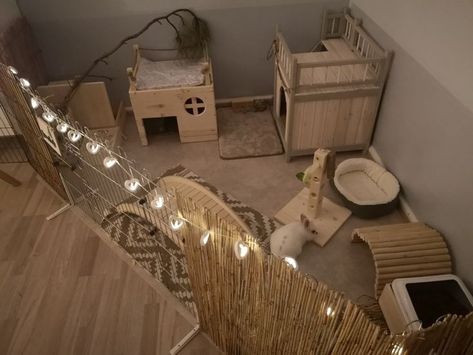 Cute Bunny Setup Ideas, House Bunny Set Up, Small Bunny Enclosure Indoor, Bunny Cages Aesthetic, Cute Rabbit Enclosure, Bunny Setup Ideas, Bunny Pens Indoor, Pet Bunny Ideas, Rabbit Cage Setup Indoor