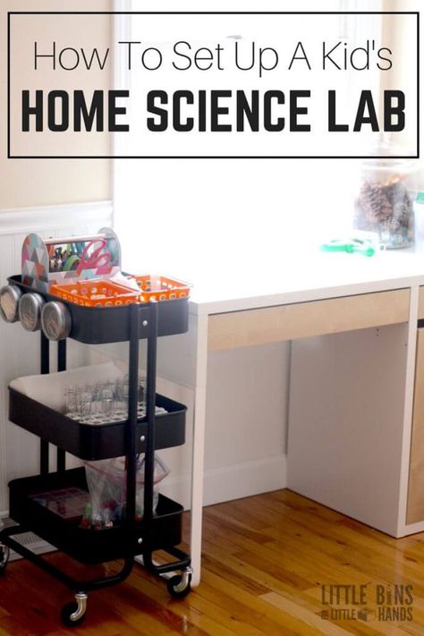 How To Set Up Home Science Lab for Kids Including Activities Home Science Lab, Backyards Landscapes, Kids Science Lab, Science Bedroom, Science Center Preschool, Science Table, Science Experiments Kids Easy, Science Area, Kids Lab